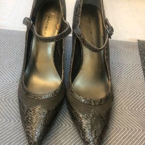 🎀 Gray snakeskin bandolino pumps 🎀